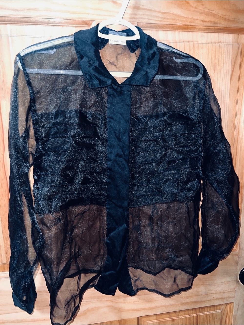 Courtenay Sheer Black Collared Blouse